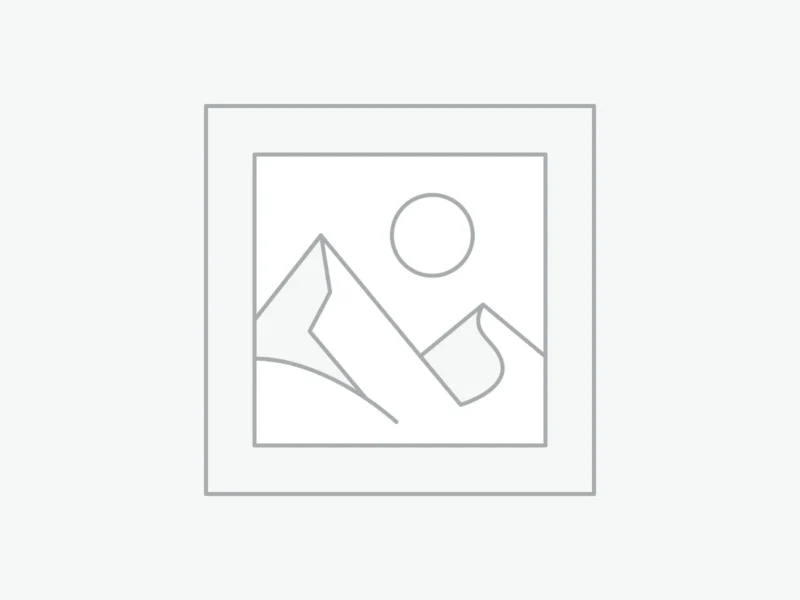 Membership - Individual - Annual fee